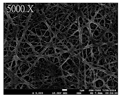 plga /利多卡因纳米纤维膜的扫描电镜照片